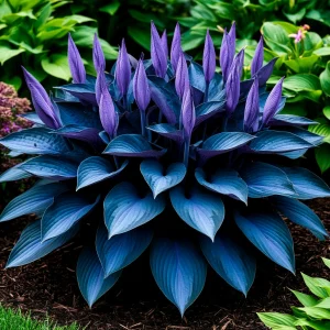 Хоста Сикрет Гров купить по цене от 570р. в интернет-магазине «Посадика» с доставкой почтой в в Минусинске и по всей России – [изображение №1].